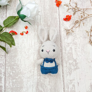 Lapin en Salopette