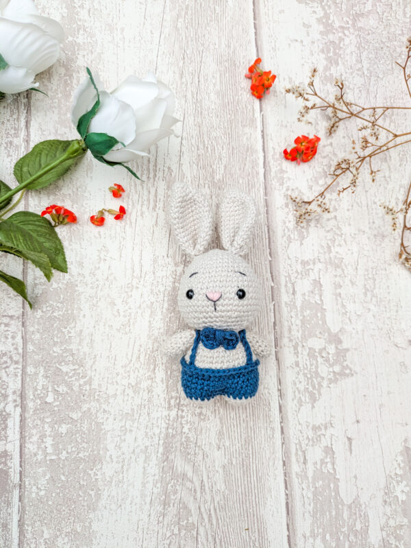 Lapin en Salopette