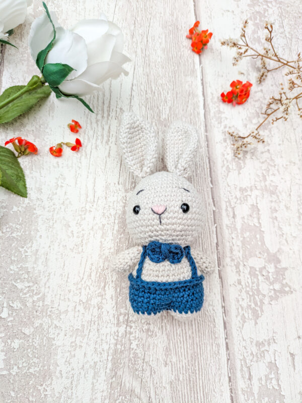 Lapin en Salopette