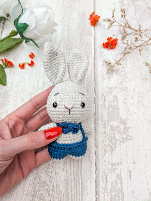 Lapin en Salopette
